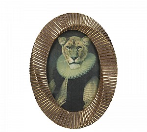  ZAROS- Lion  .,10x15cm
