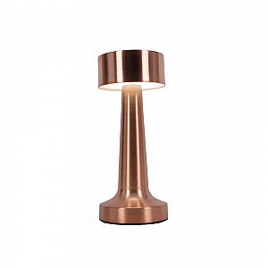  InLight    3CCT    (3033-Copper),9x21cm